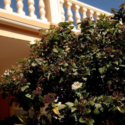Restaurante La Plantación Finestrat