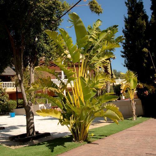 Restaurante La Plantación Hotel 3*